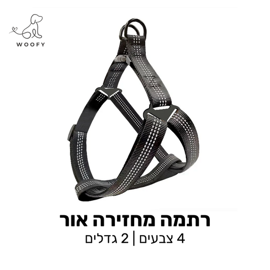 רתמה מחזירה אור