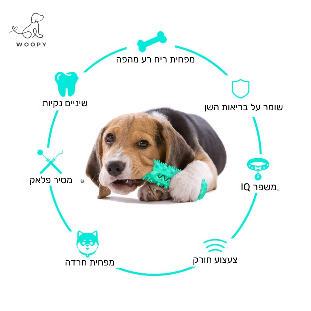 צעצוע לעיסה דנטלי - לכלב קטן