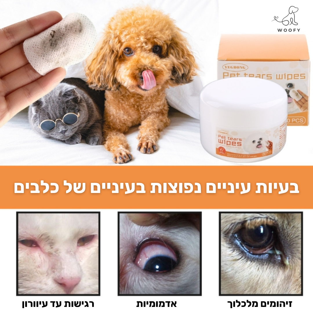 מגבונים עדינים לניקוי אזור העיניים של הכלב