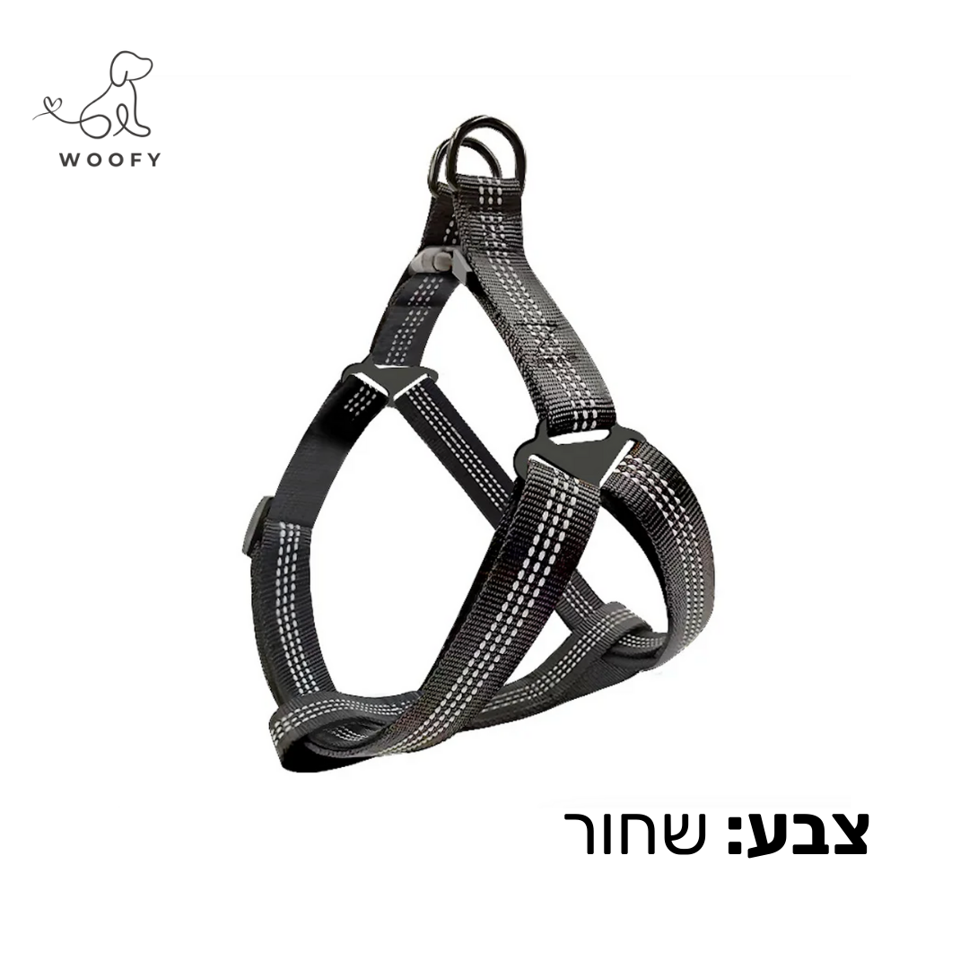 רתמה מחזירה אור