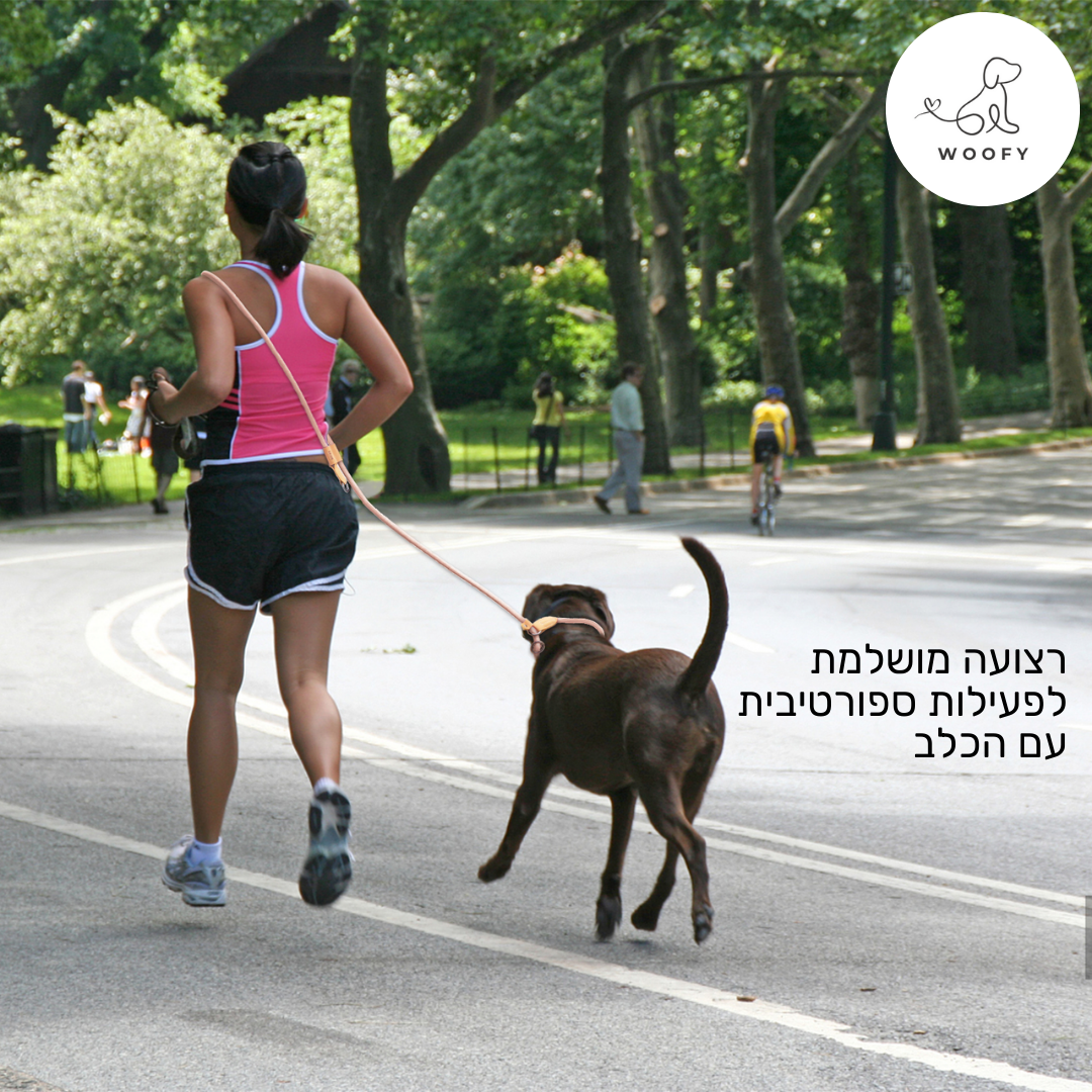 רצועה ריצה יוקרתית לכלב 3 מטר - מושלמת לספורט