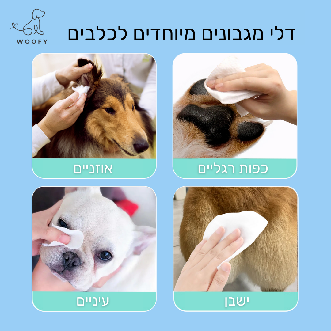 מגבונים טבעיים לניקוי הכלב - אריזה חסכונית