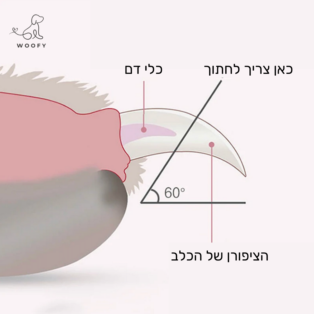 קוצץ ציפורניים חכם עם תאורת LED