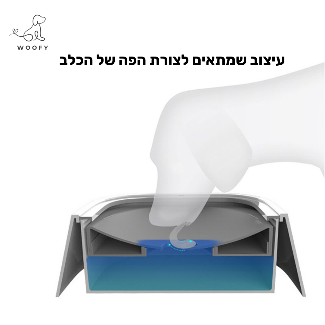 קערת מים חכמה עם השם של הכלב שלכם