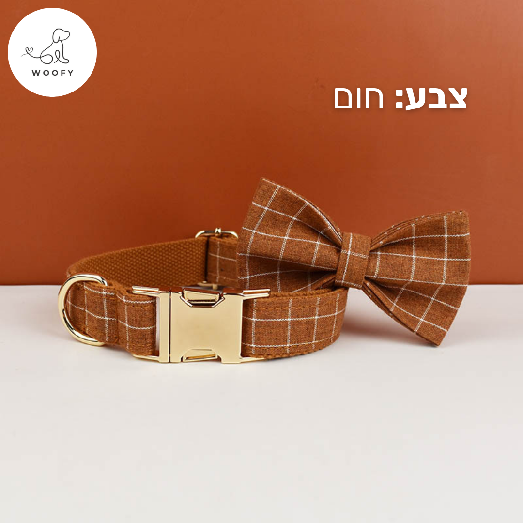 קולר מעוצב עם פפיון לכלב