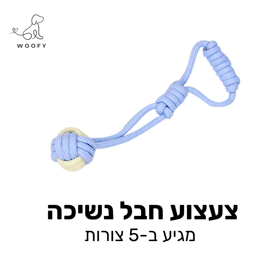 צעצוע חבל אינטראקטיבי