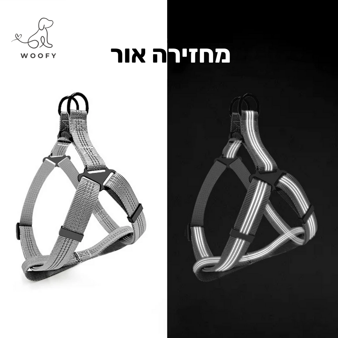 רתמה מחזירה אור