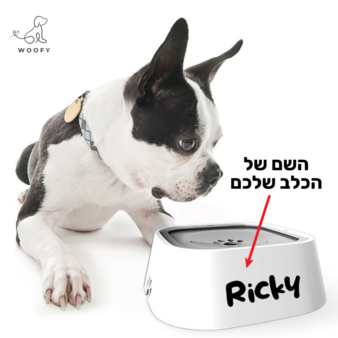 קערת מים חכמה עם השם של הכלב שלכם