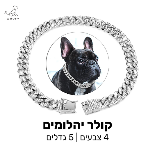 קולר דמוי יהלומים - 4 צבעים