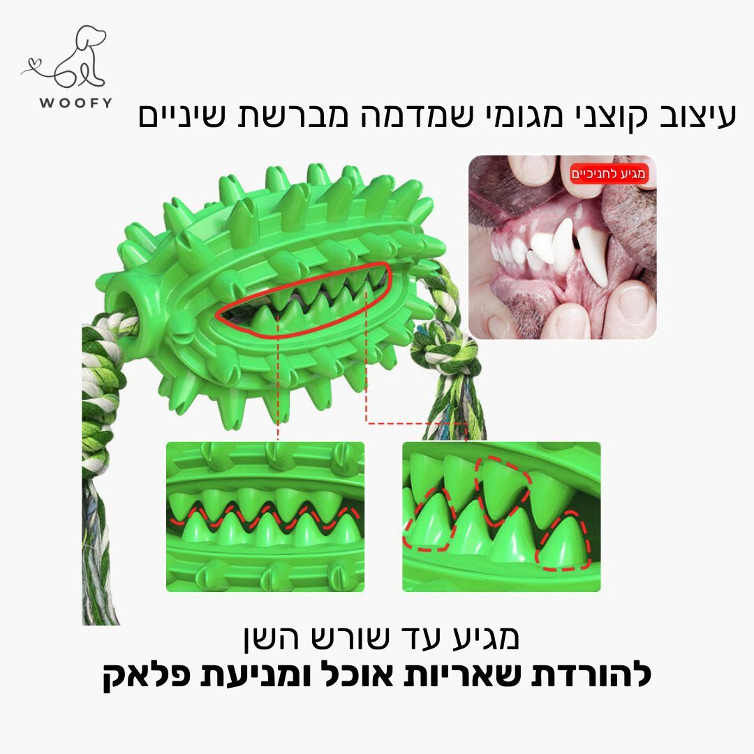 צעצוע לעיסה דנטלי - עם מקום לחטיפים ומשחת שיניים