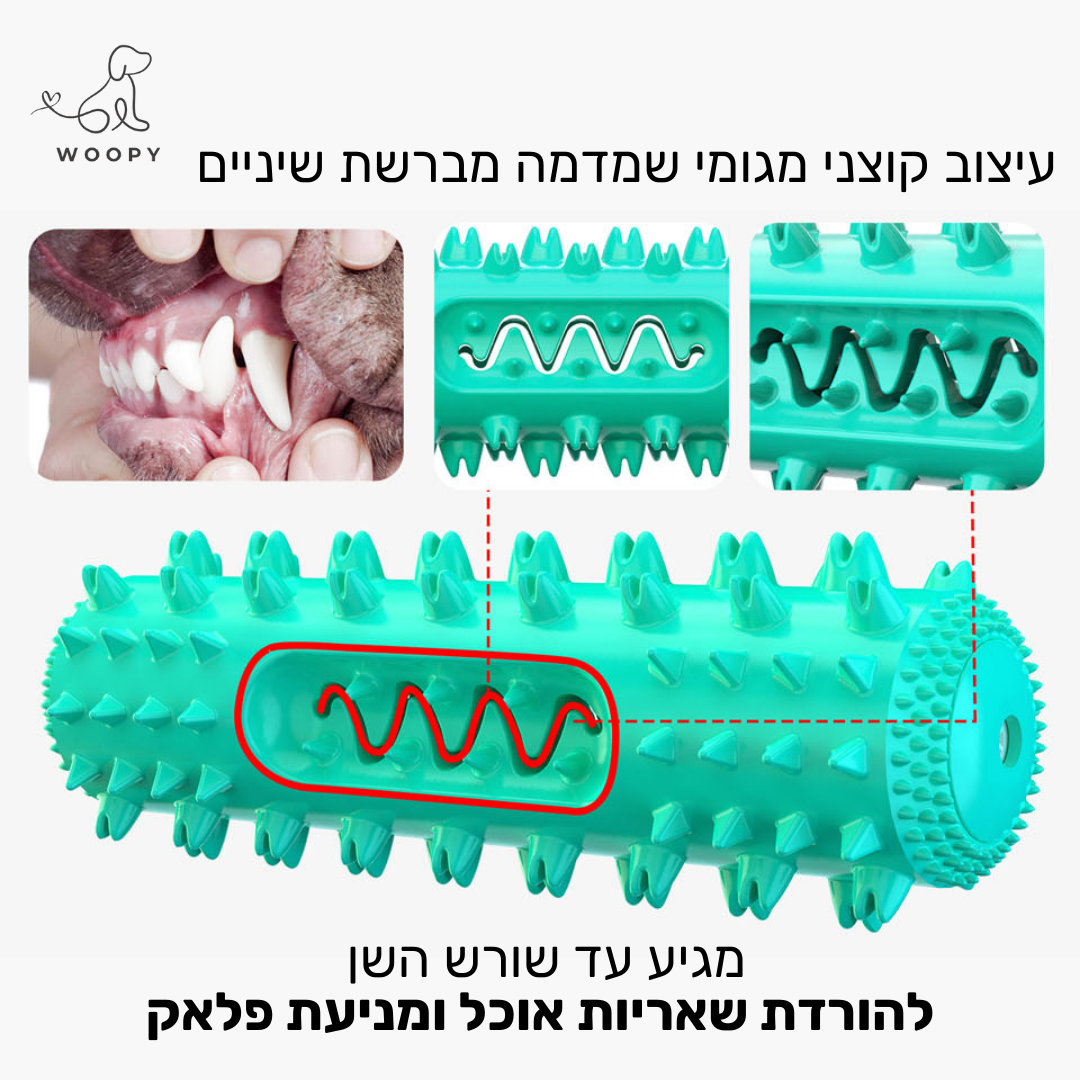 צעצוע לעיסה לניקוי שיניים עם מקום למשחת שיניים וחטיפים