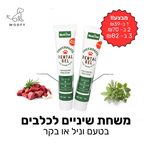 משחת שיניים לכלבים