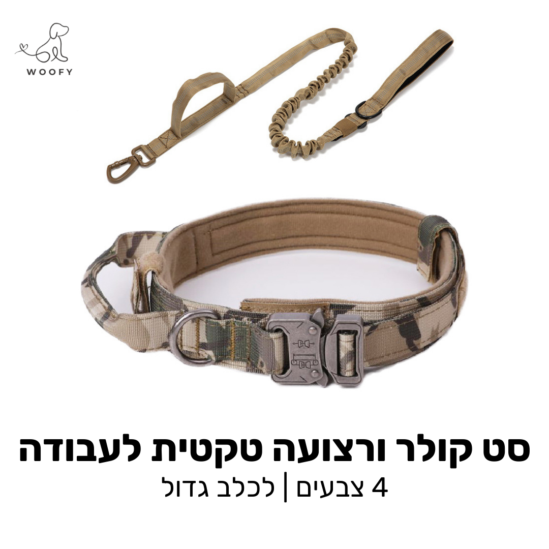 סט קולר ורצועה טקטית לעבודה - כלב גדול בלבד