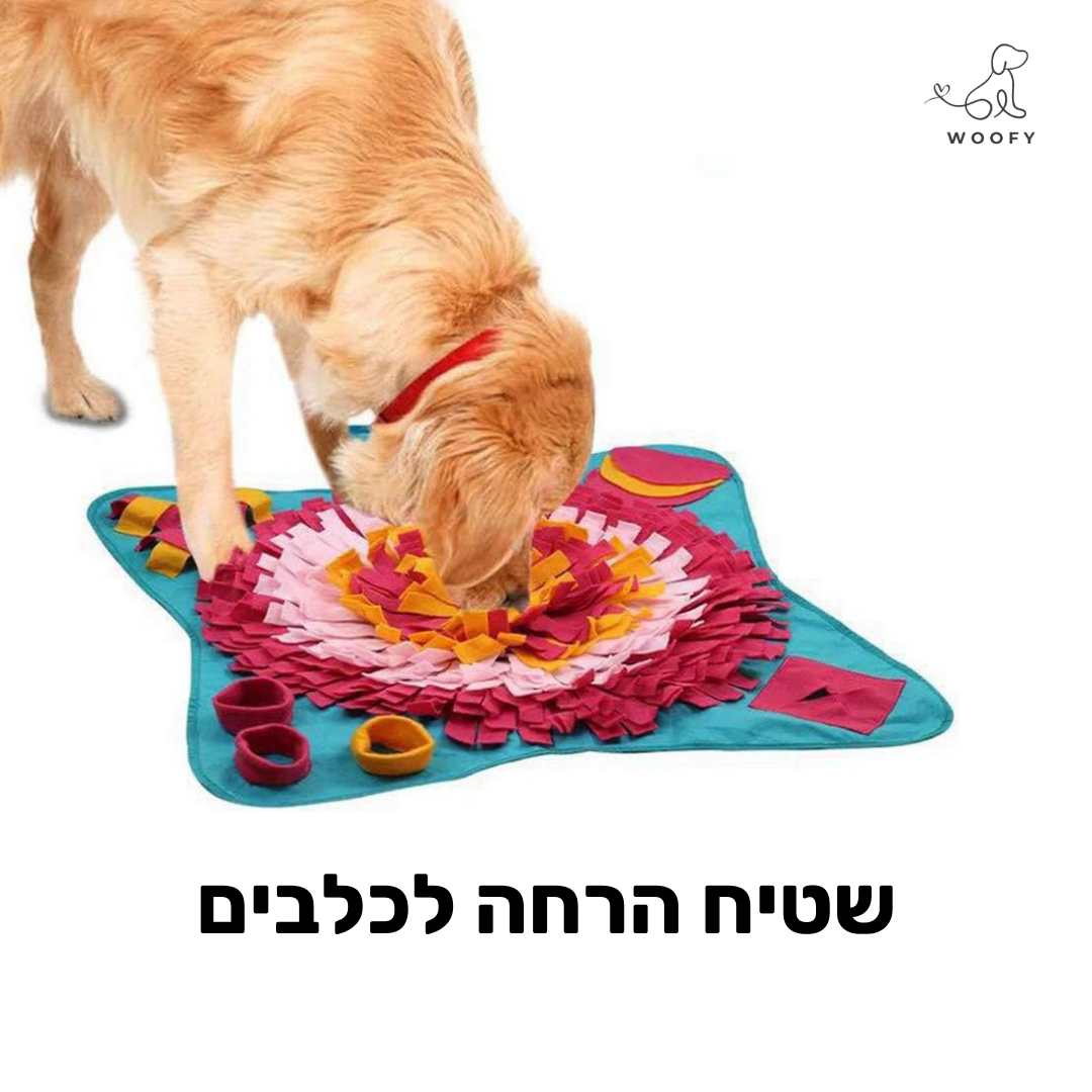 שטיח הרחה לכלבים